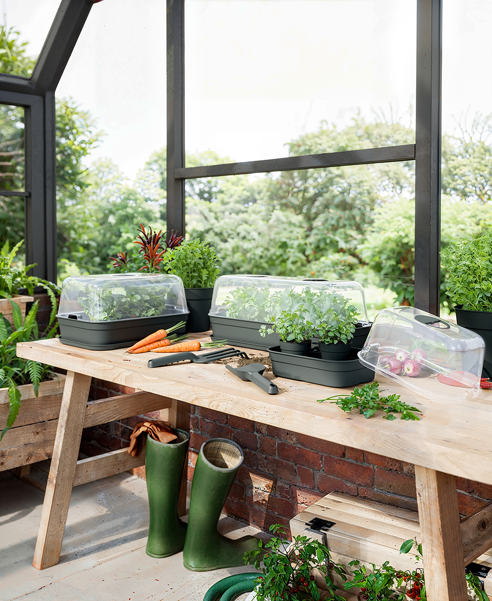 Back to the garden: what to grow after the heat
