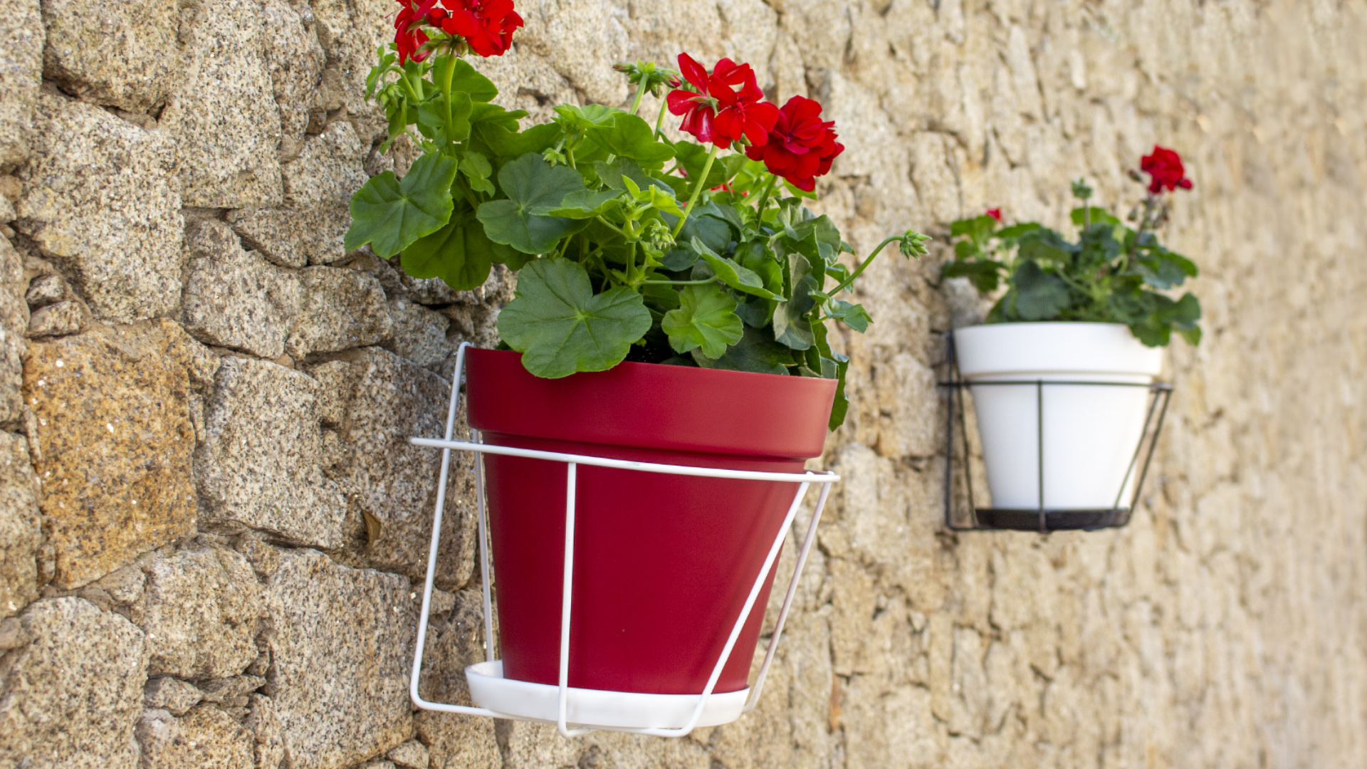 Wall Pot Holder With Saucer