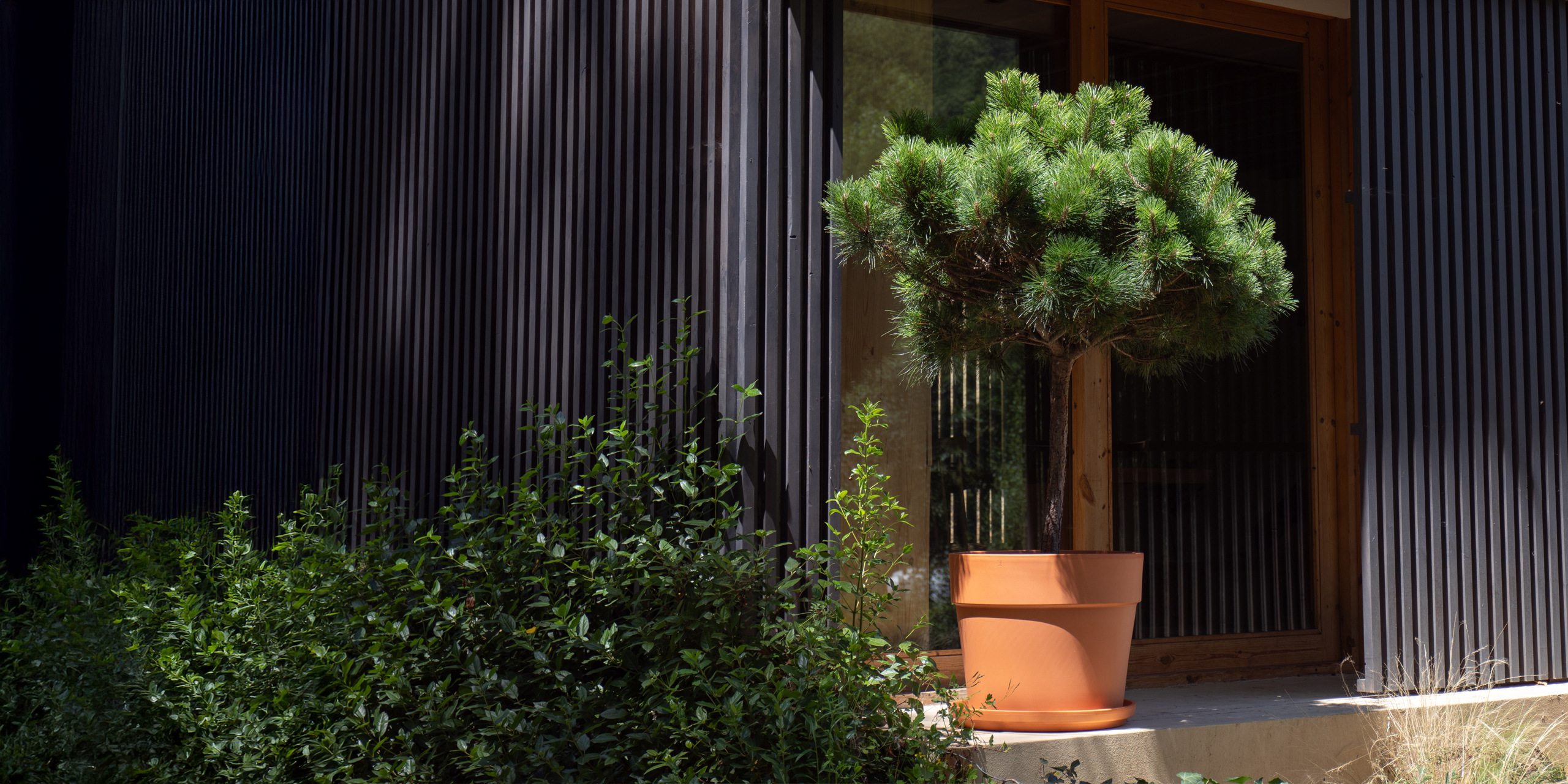 Perfect pots for the summer
