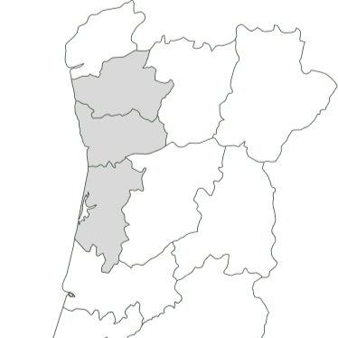 From Portugal to the world